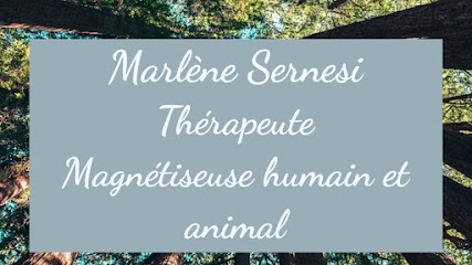 Marlène Sernesi, Neuro-Kinésiologie Magnétiseuse animalière, Magnétiseuse humain La Penne-sur-Huveaune