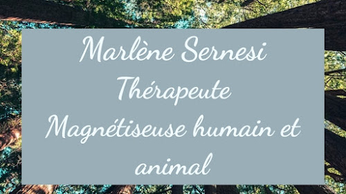 Marlène Sernesi, Neuro-Kinésiologie Magnétiseuse animalière, Magnétiseuse humain à La Penne-sur-Huveaune