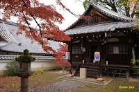 新長谷寺
