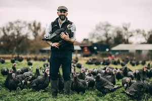 Bramble Farm Turkeys image