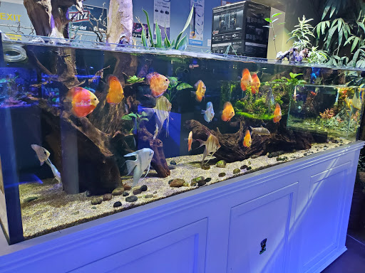 Tropical Fish Store «Neptune Aquatics», reviews and photos, 1238 N 5th St, San Jose, CA 95112, USA