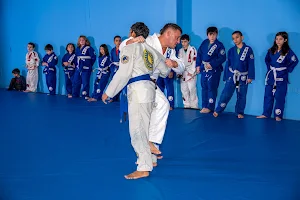 Renzo Gracie Jiu Jitsu Academy Milford image