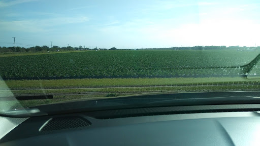 Produce Wholesaler «Goodson Farms Inc.», reviews and photos, 12405 Balm Rd, Balm, FL 33503, USA