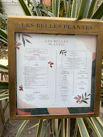 Restaurant français Les Belles Plantes à Paris - menu / carte