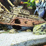 Photo n°3 de l'avis de Benjamin.t fait le 09/09/2023 à 17:14 sur le  B'HAVEN à Bremerhaven