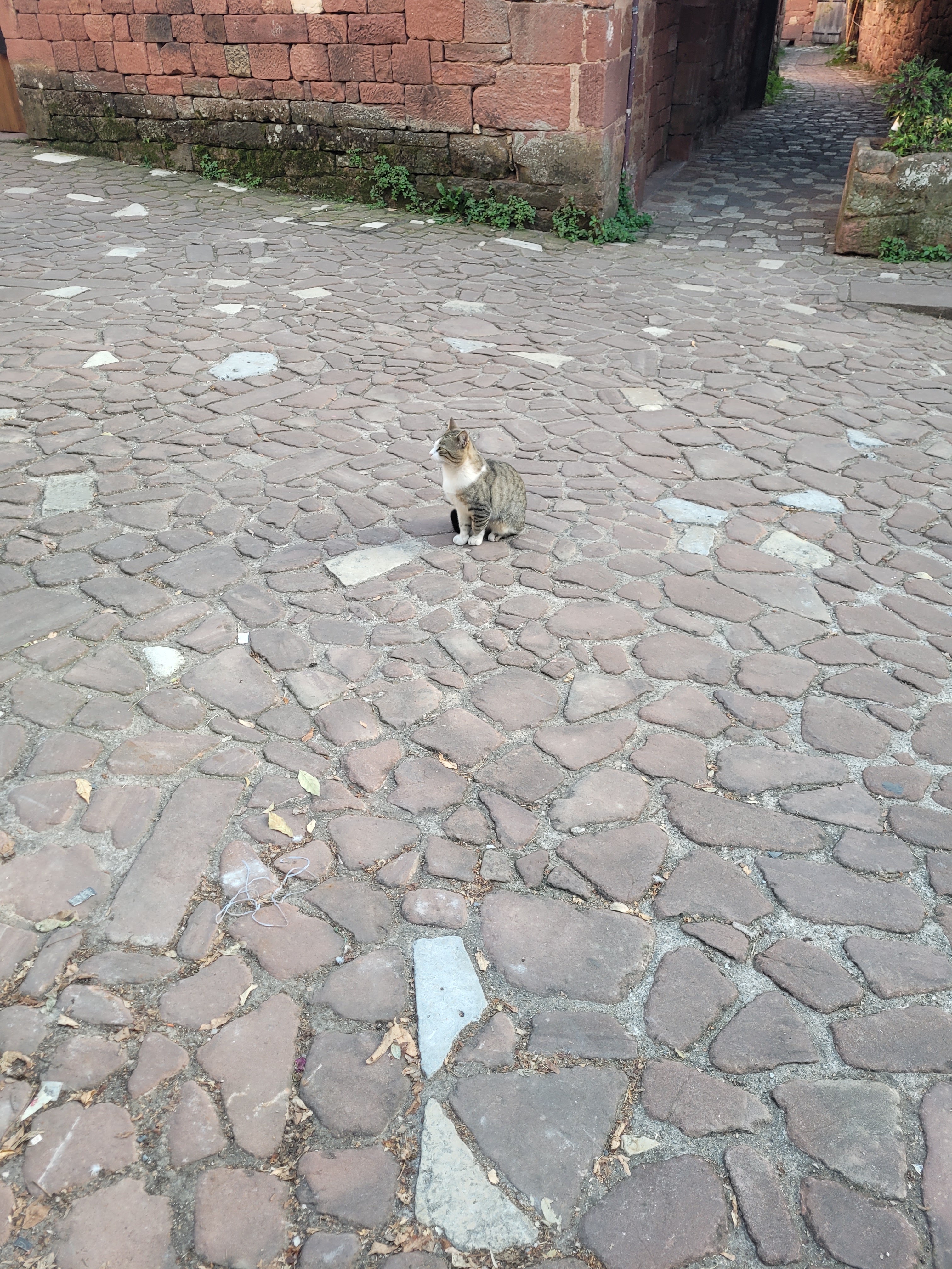 Photo n° 23 de l'avis de Yannick.o fait le 14/10/2023 à 20:03