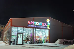 Antoshka store image