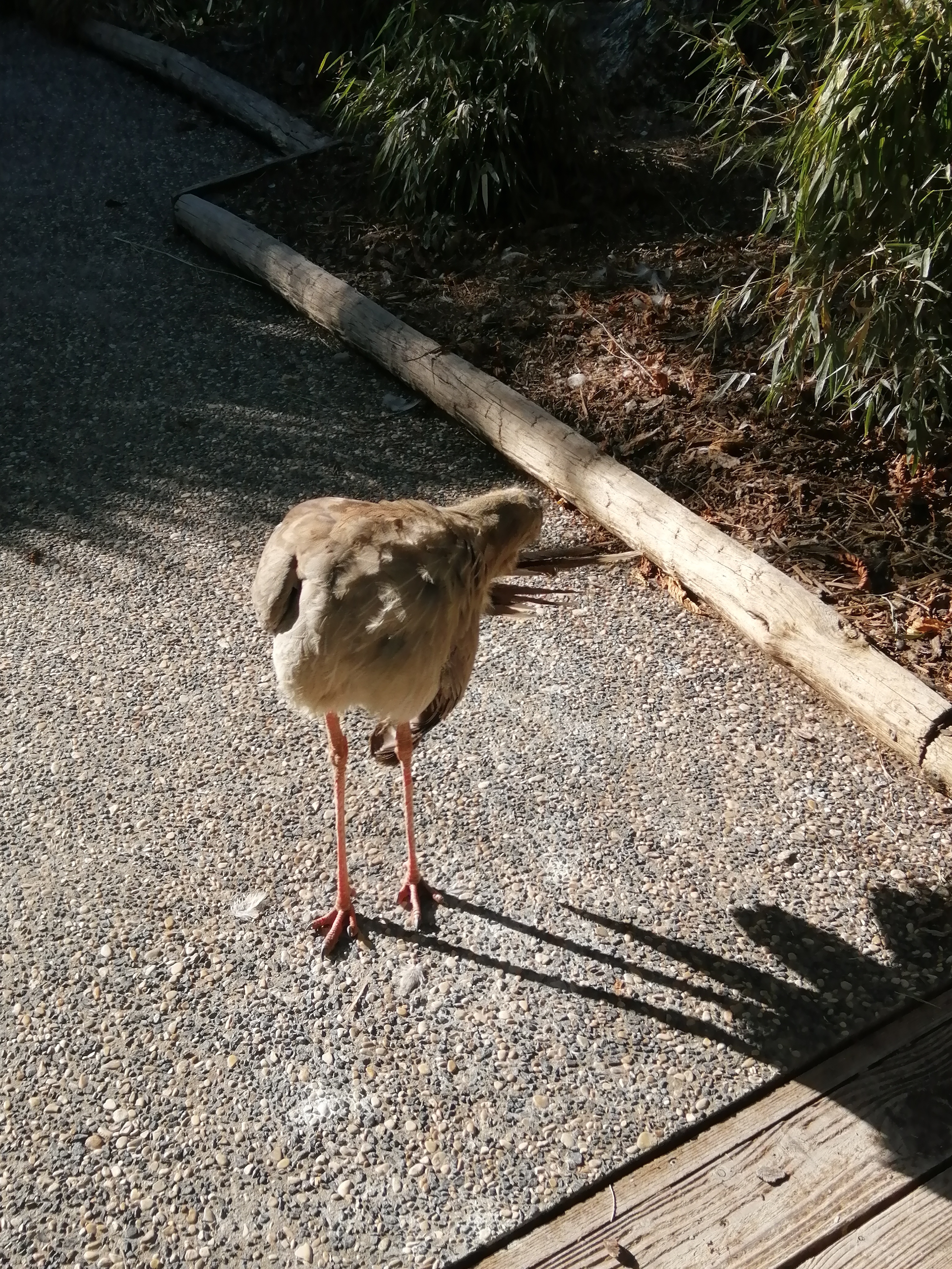 Photo n° 6 de l'avis de Alison.o fait le 14/08/2022 à 21:44