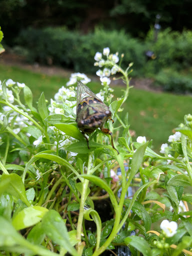 Park «Poricy Park Nature Center», reviews and photos, 345 Oak Hill Rd, Red Bank, NJ 07701, USA