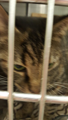 Pet Supply Store «PetSmart», reviews and photos, 8660 Airline Hwy, Baton Rouge, LA 70815, USA