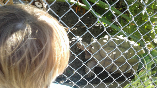 Tourist Attraction «IMAG History & Science Center (formerly Imaginarium Science Center)», reviews and photos, 2000 Cranford Ave, Fort Myers, FL 33916, USA