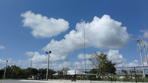 Discount Store «Dollar General», reviews and photos, 4790 Hallandale Beach Blvd, Pembroke Park, FL 33023, USA