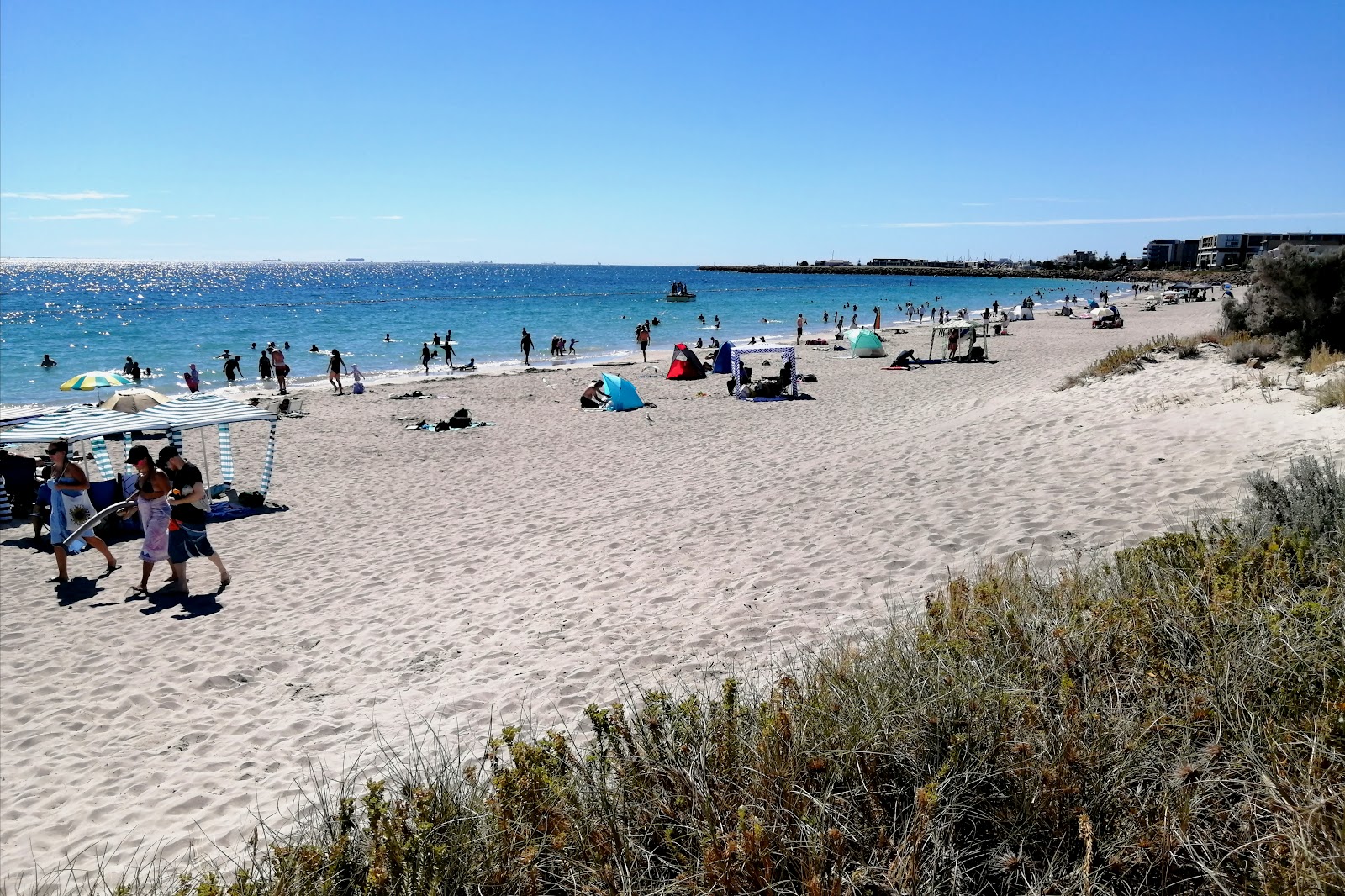 Coogee Beach'in fotoğrafı - rahatlamayı sevenler arasında popüler bir yer