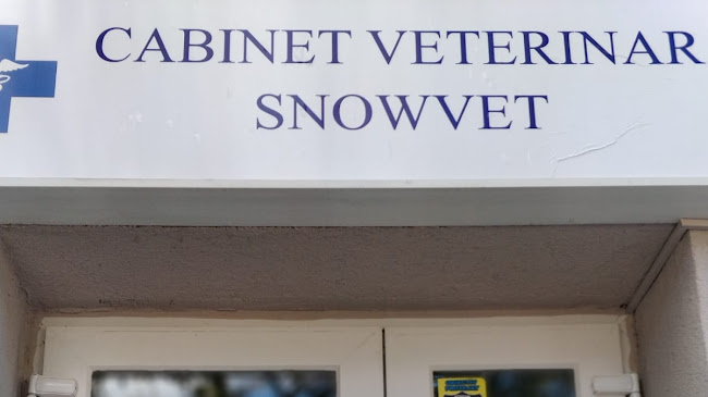 Opinii despre Cabinet Veterinar SnowVet în <nil> - Veterinar