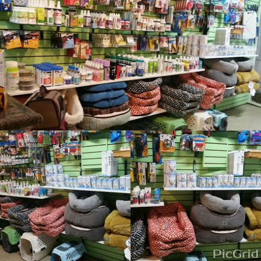 Tropical Fish Store «Caribbean Pets», reviews and photos, 298 Central Ave, Jersey City, NJ 07307, USA