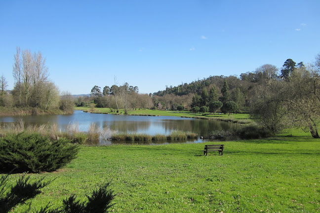 Avaliações doParque da Devesa em Vila Nova de Famalicão - Campo de futebol