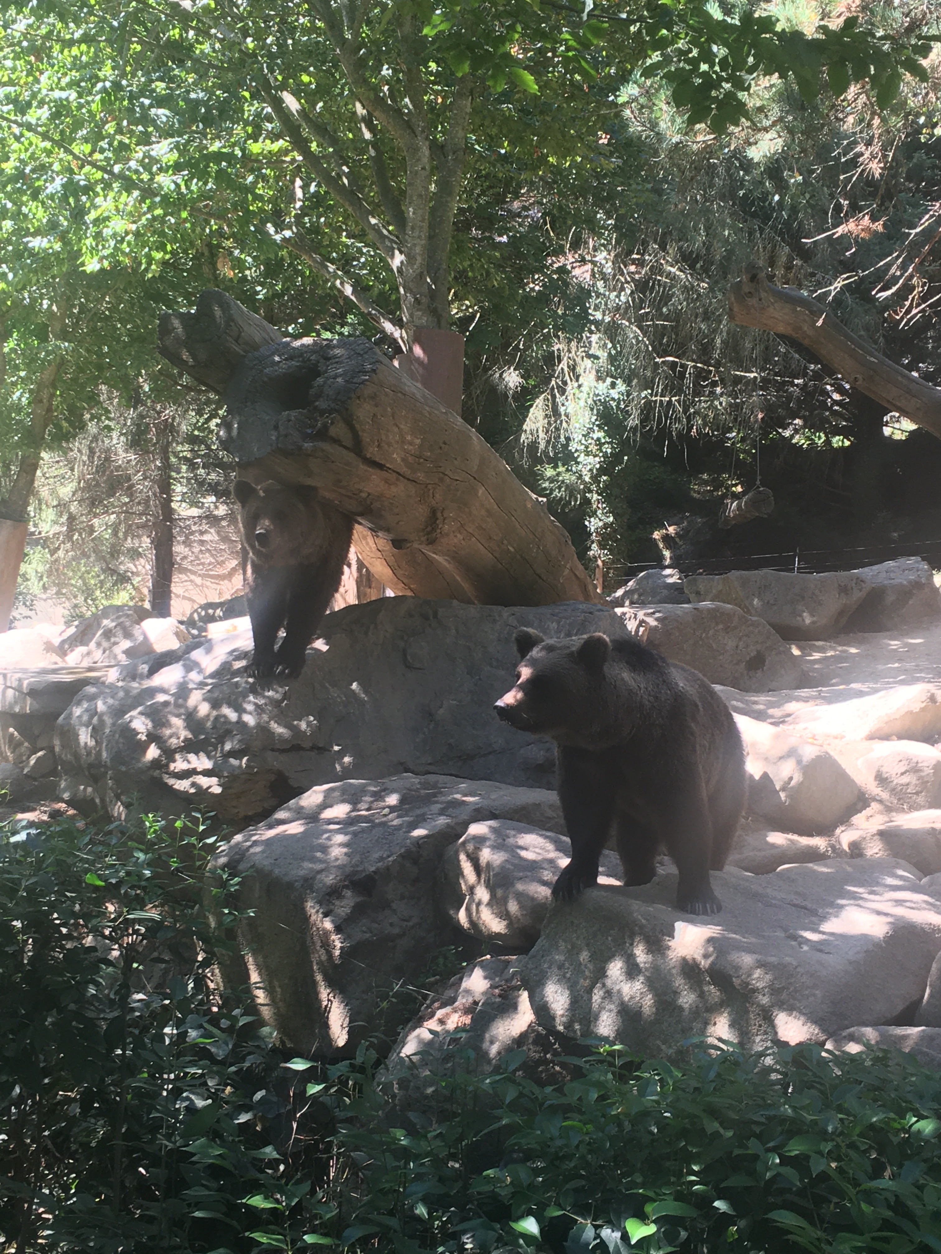 Photo n° 1 de l'avis de Anaelle. fait le 07/09/2022 à 11:30