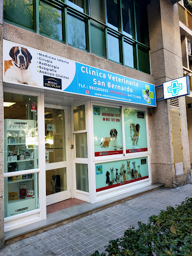 Clinica Veterinaria San Bernardo