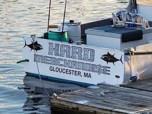 Whale Watching Tour Agency «7 Seas Whale Watch», reviews and photos, 63 Rogers St, Gloucester, MA 01930, USA