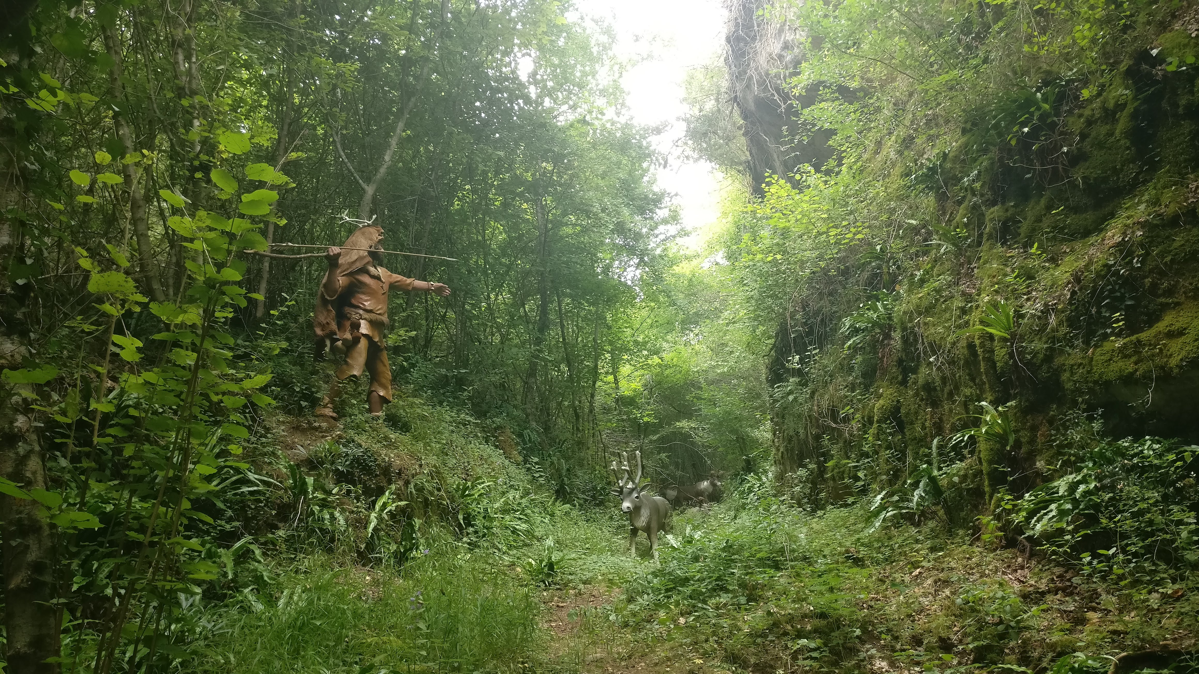 Photo n° 9 de l'avis de gilbert.e fait le 13/08/2021 à 15:14