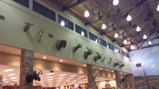 Hunting and Fishing Store «Woods & Water Inc», reviews and photos, 5101 Summit Ridge, Tuscaloosa, AL 35405, USA