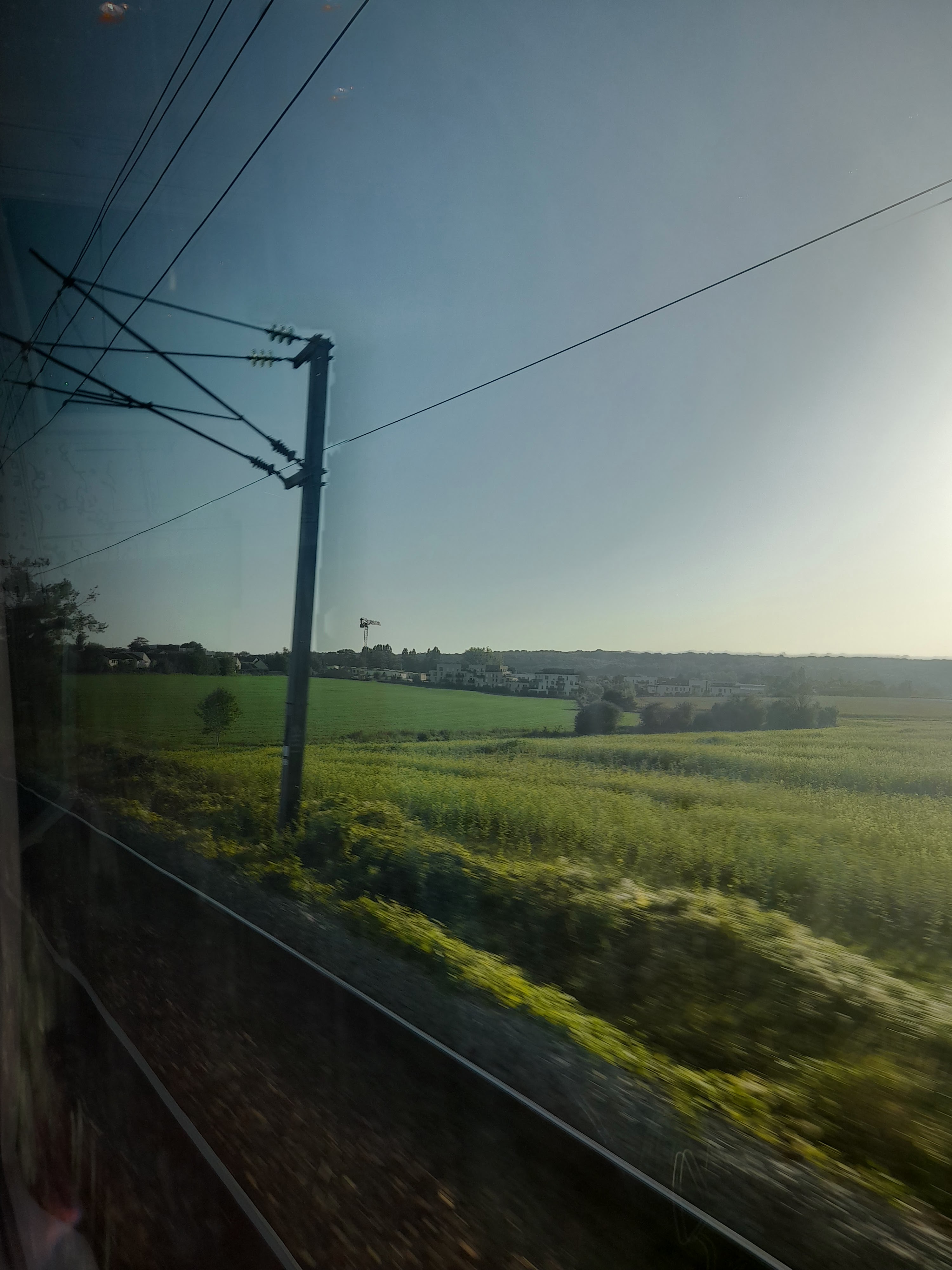 Photo n° 6 de l'avis de Pedro.a fait le 16/10/2023 à 07:18