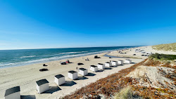 Foto von Blokhus Beach mit lange, gerade küste