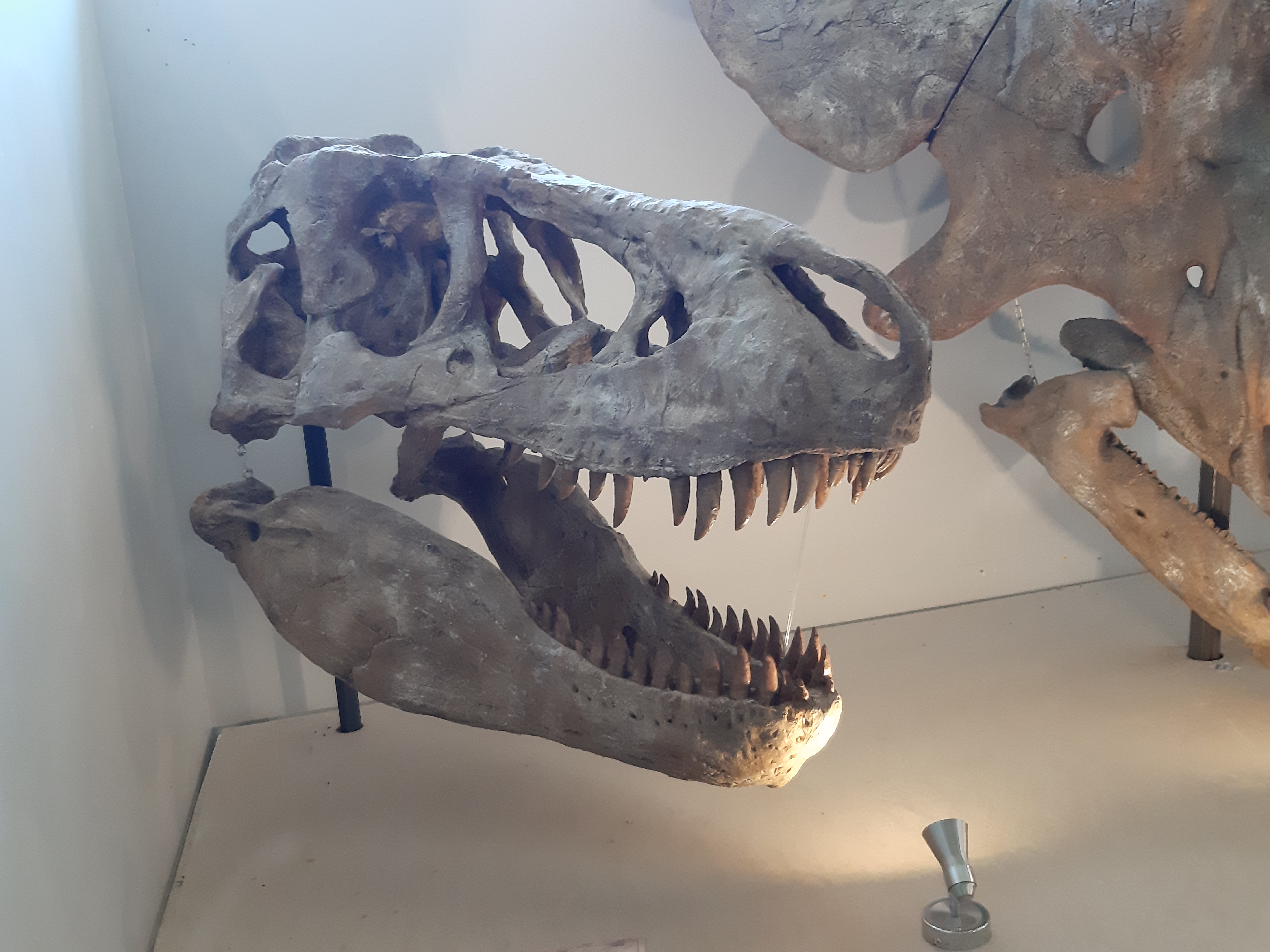 Photo n° 22 de l'avis de Guigeek_22. fait le 27/07/2019 à 09:37