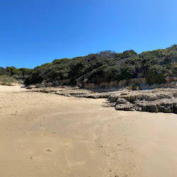 Photo de Goat's Beach avec rivage droit, long