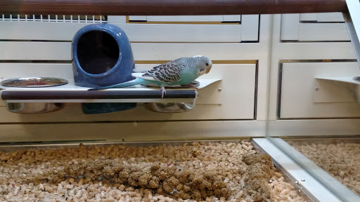 Pet Supply Store «PetSmart», reviews and photos, 1110 Hospitality Dr, Rock Hill, SC 29730, USA