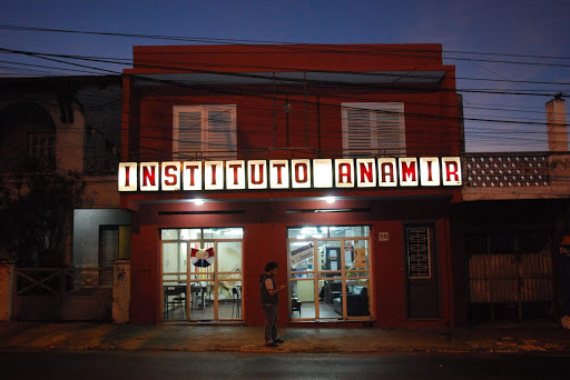Instituto Anamir