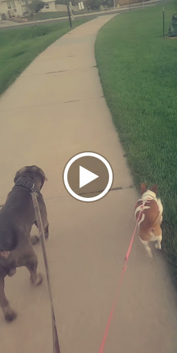 Pharmacy «Walmart Pharmacy», reviews and photos, 10755 Washington St, Northglenn, CO 80233, USA