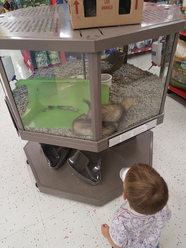 Pet Supply Store «Petco Animal Supplies», reviews and photos, 253 Burgess Rd, Harrisonburg, VA 22801, USA