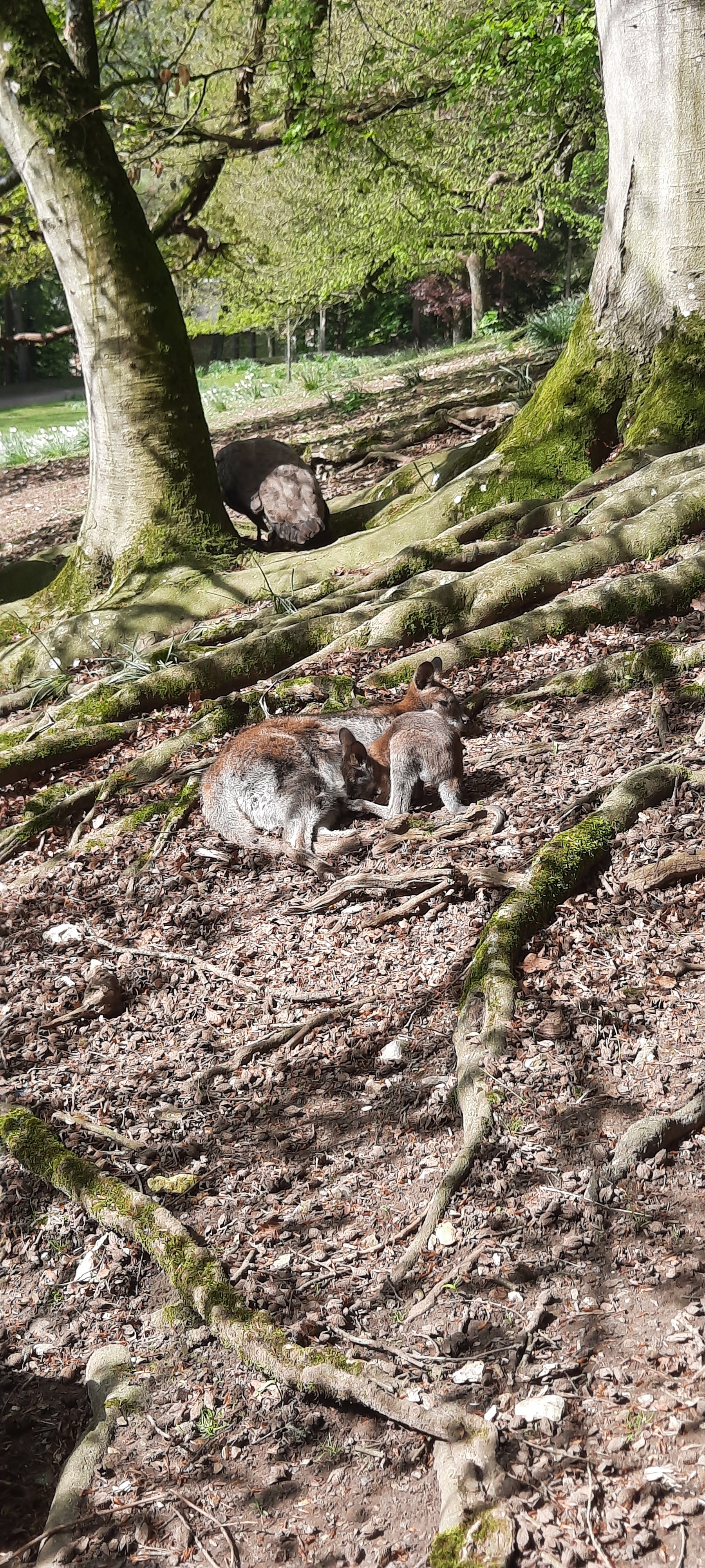 Photo n° 2 de l'avis de Jean-Charles.e fait le 02/05/2023 à 14:13