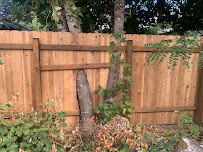 Bertolucci Construction, Inc. - Photo 2 - Car repair in Salem, OR, Salem