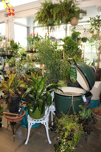 Hardware Store «Adams Morgan Ace Hardware», reviews and photos, 1704 Columbia Rd NW, Washington, DC 20009, USA