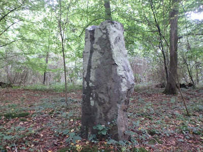 Menhir dit la Pierre Droite à Avernes