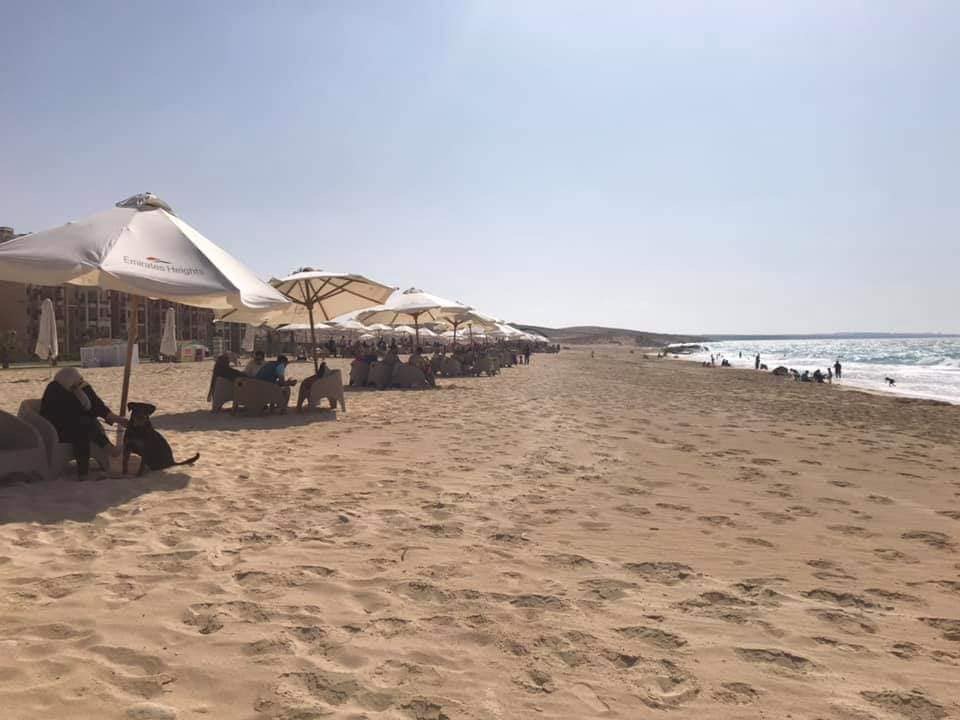 Canaria Beach photo #9