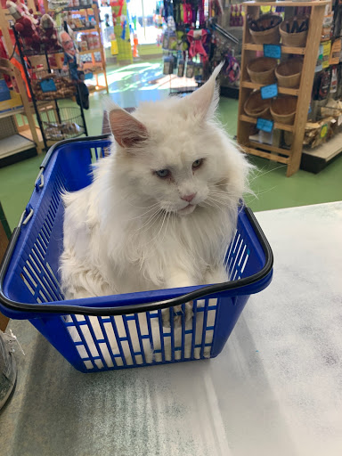 Pet Supply Store «Animal Krackers Inc», reviews and photos, 232 Main St, Gloucester, MA 01930, USA