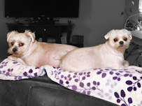 Westcreek Grooming salon - Photo 6 - Car repair in Yakima, WA, Yakima