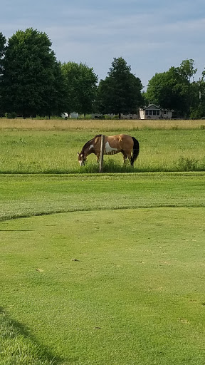 Golf Club «Sable Creek Golf Course», reviews and photos, 5942 Edison St NE, Hartville, OH 44632, USA