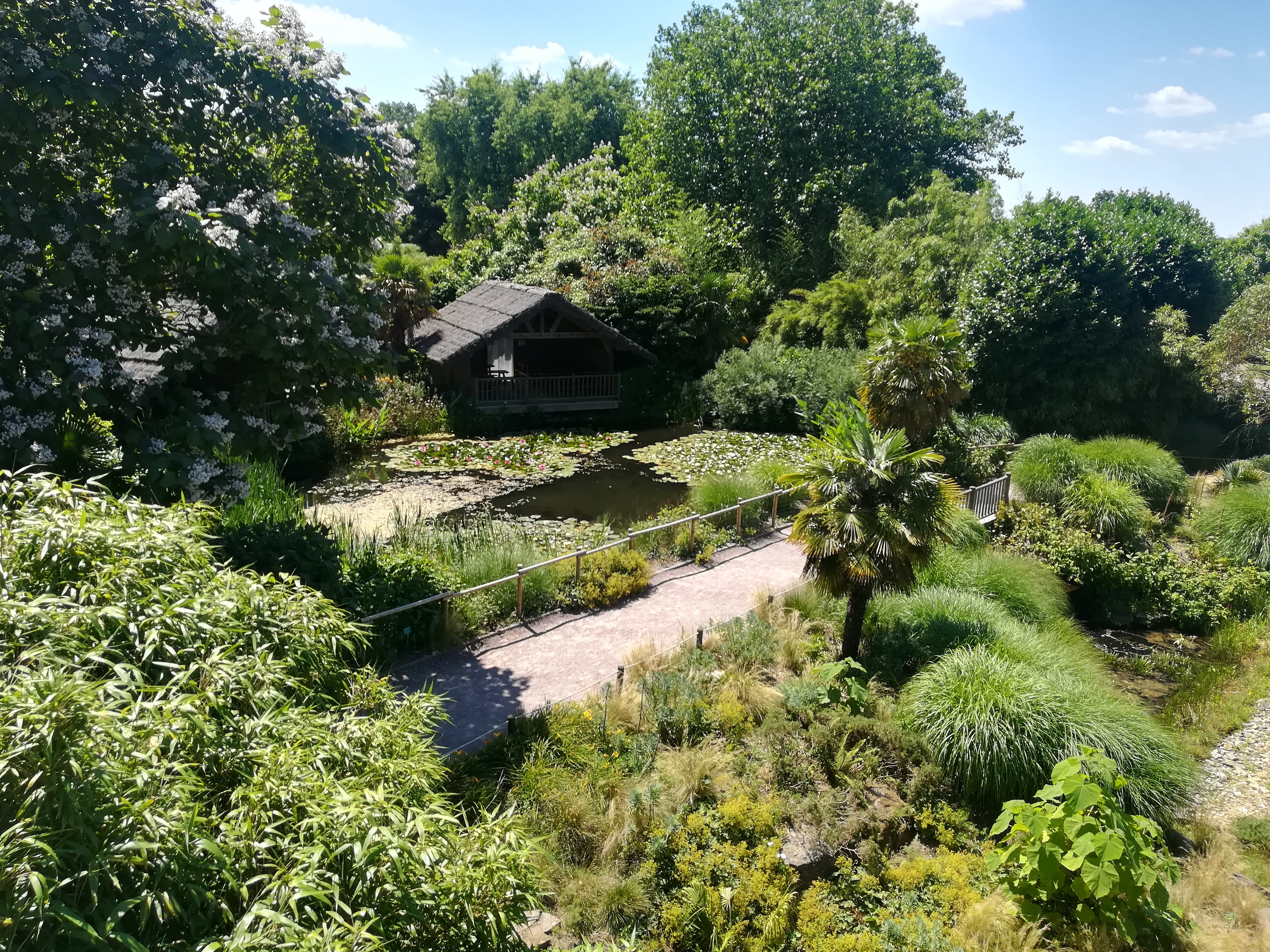 Photo n° 7 de l'avis de missbigsmile. fait le 11/07/2018 à 05:18