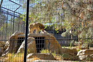Friends of the Folsom Zoo Sanctuary image