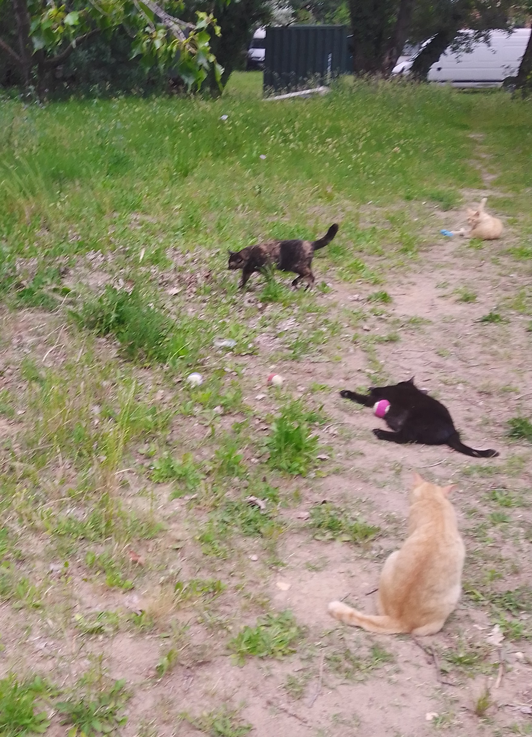 Photo n° 3 de l'avis de Marie.r fait le 23/07/2021 à 15:59