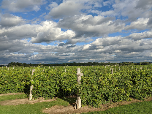 Winery «Snow Farm Vineyard & Winery», reviews and photos, 190 W Shore Rd, South Hero, VT 05486, USA
