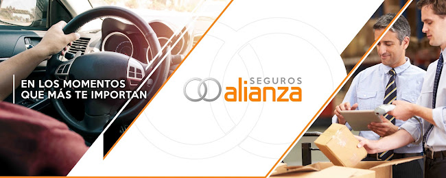 Seguros Alianza - Cuenca - Agencia de seguros