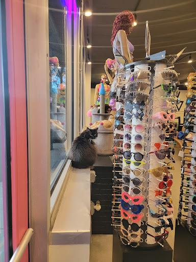 Used Clothing Store «iconoCLAD», reviews and photos, 414 300 S, Salt Lake City, UT 84111, USA