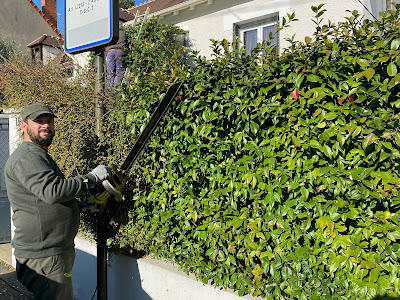 Lemaire Jean Élagage à Chevilly-Larue