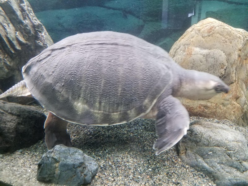 桐生が岡公園 水族館 群馬県桐生市宮本町 水族館 水族館 グルコミ