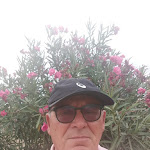 Photo n°2 de l'avis de Valter.e fait le 16/04/2019 à 14:14 sur le  Ristorante al Vecchio Trebbo à Bertinoro